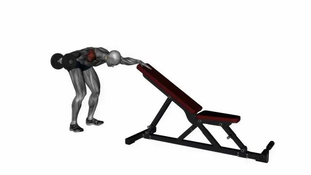 One arm reverse dumbbell fly (2)