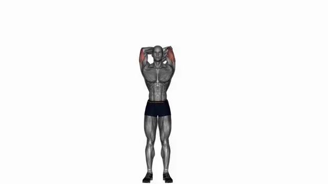 Overhand tricep stretching single arm (2)