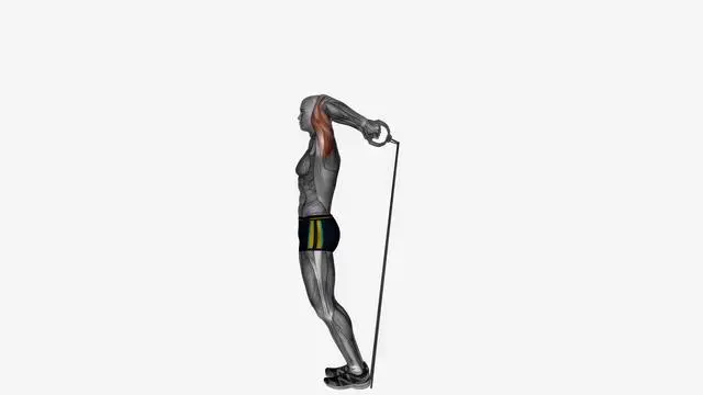 Overhead extension Resistance band both arms (2)