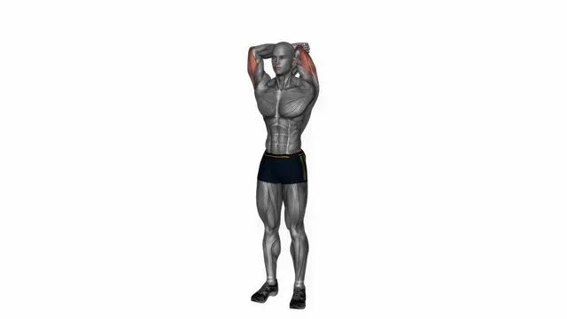 Overhead triceps stretch side angle (2)