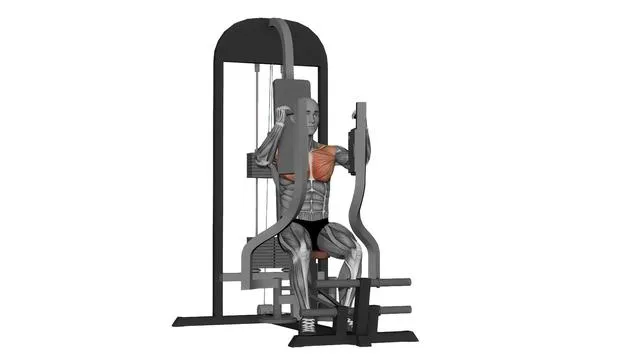 Pec deck fly machine (2)