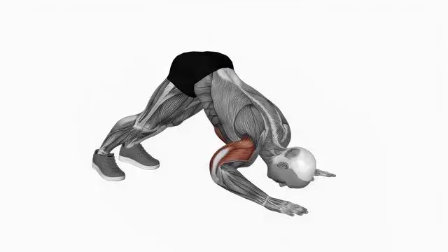 Pike push up (2)
