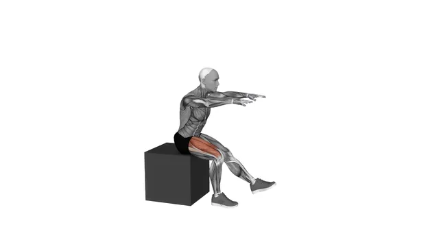 Pistol Squat to Box (2)