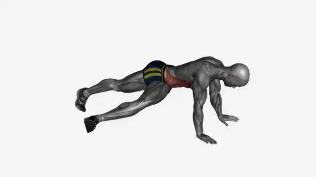 Plank cross knee drive (2)