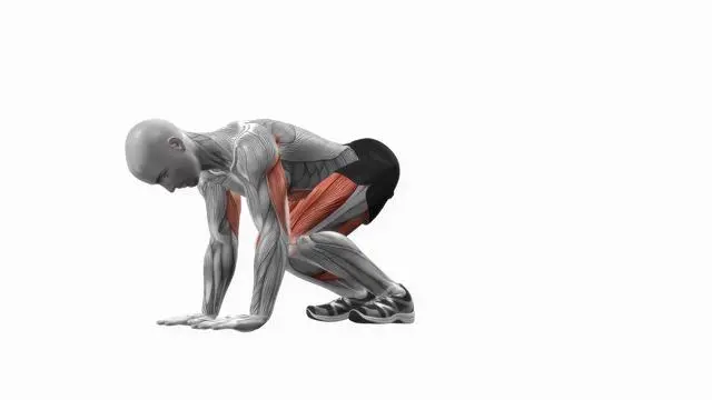 Plank Knee Tucks (2)