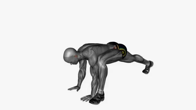 Plank lunges (2)