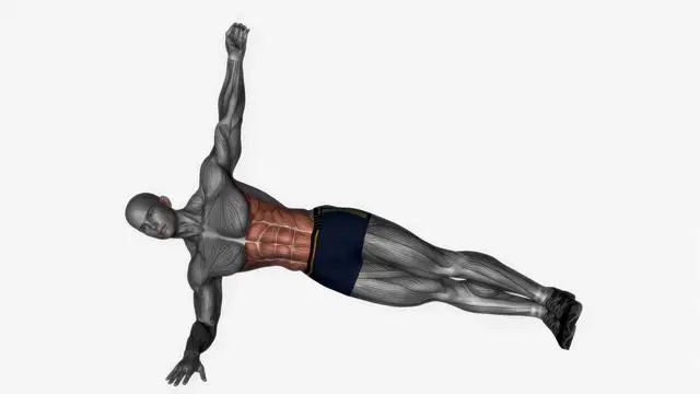 Plank reach through (2)