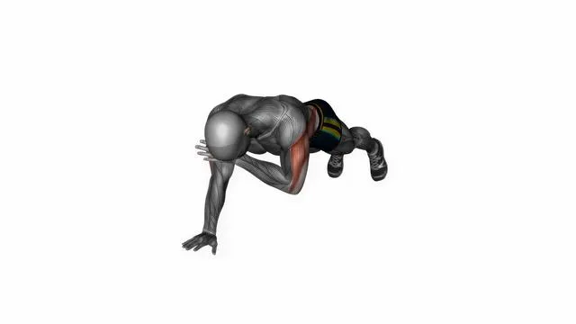 Plank shoulder taps (2)