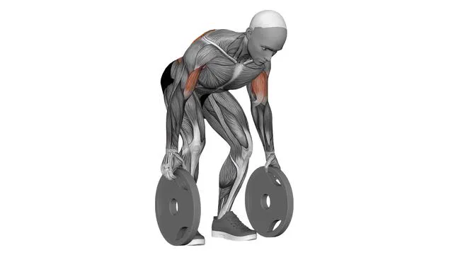 Plate Alternating Deadstop Row (1)