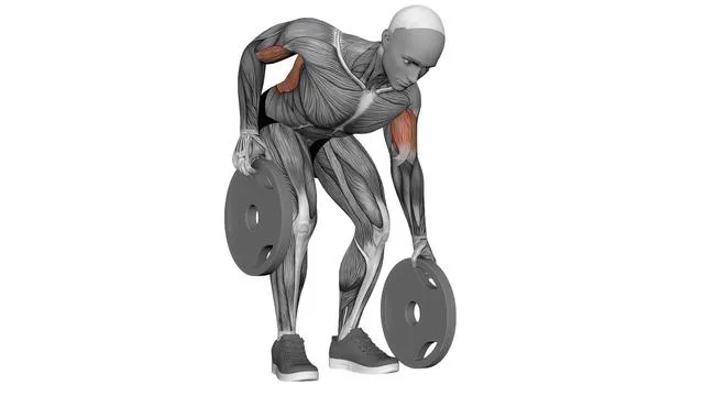 Plate Alternating Deadstop Row (2)