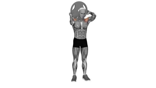 Plate Halo (2)