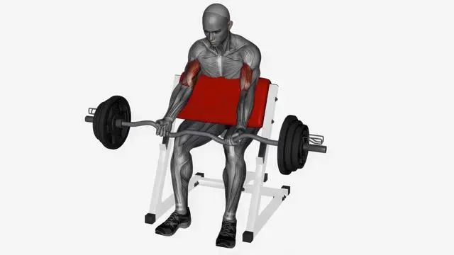Preacher curl ez bar (3)
