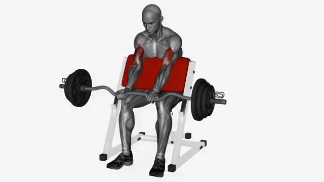 Preacher curl ez bar (4)