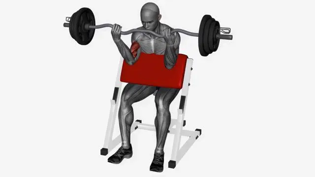 Preacher curl ez bar (5)
