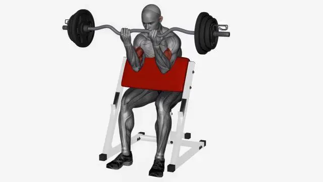Preacher curl ez bar (6)