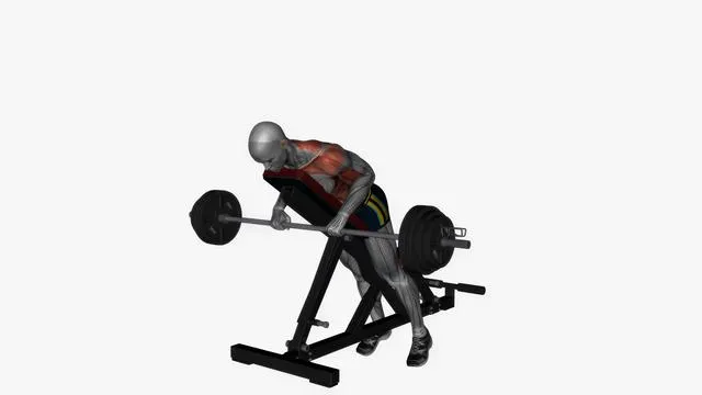 Prone bench row barbell pronate grip (2)