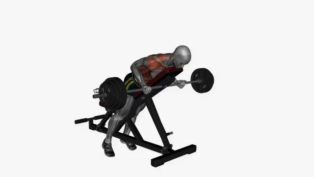 Prone bench row barbell reverse grip (2)