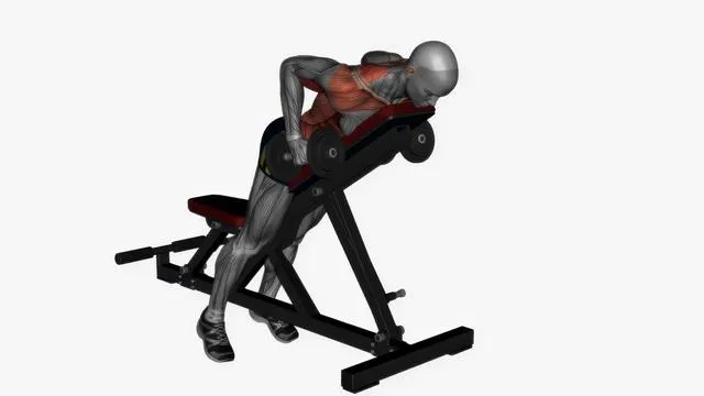 Prone bench row dumbbells (2)