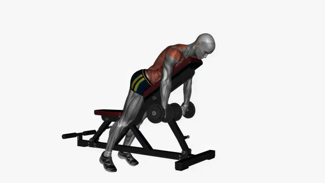 Prone bench row dumbbells (3)