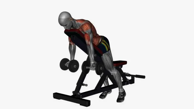 Prone bench row dumbbells (5)