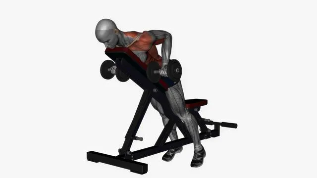 Prone bench row dumbbells (6)