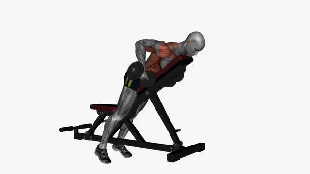 Prone bench row dumbbells pronated grip (2)