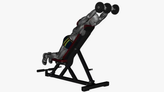 Prone front raises dumbbell on bench (2)