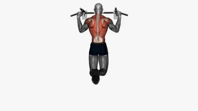 Pull up normal grip (2)