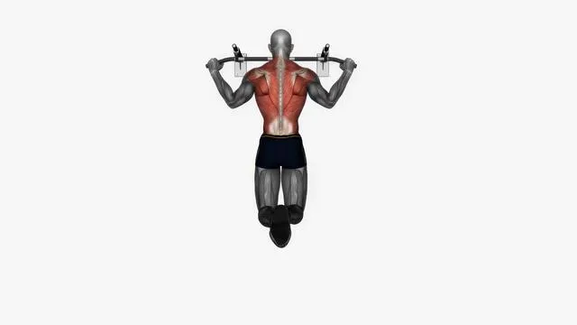 Pull up wide grip (2)