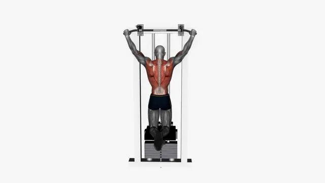 Pull up wide grip (3)