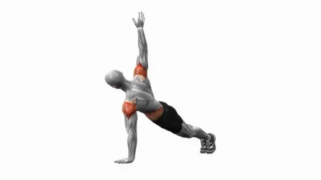 Push up and rotation (2)