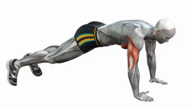 Push ups bodyweight (2)