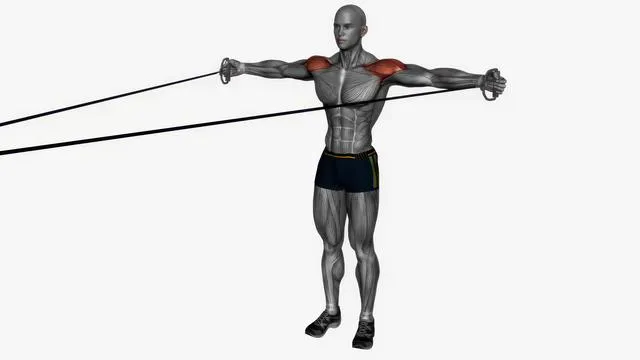 Rear deltoid fly cable Resistance band (2)