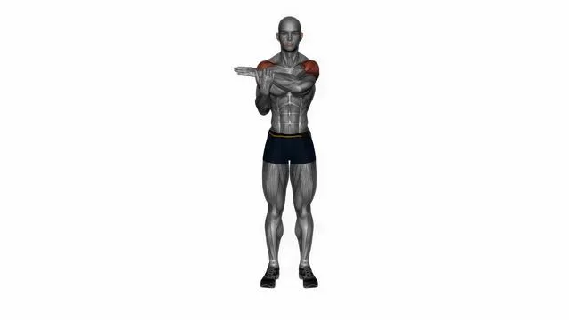 Rear deltoid stretch (2)
