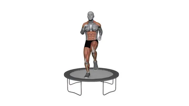Rebounder High Knee Runs (2)