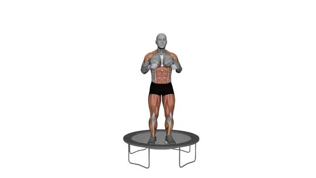 Rebounder In & Out From Ground (2)