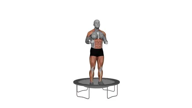 Rebounder In & Out Jacks (2)