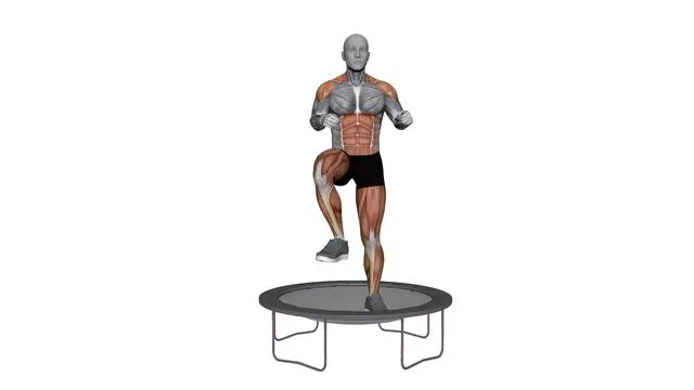 Rebounder Knee Pushes (1)
