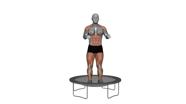 Rebounder Knee Pushes (2)