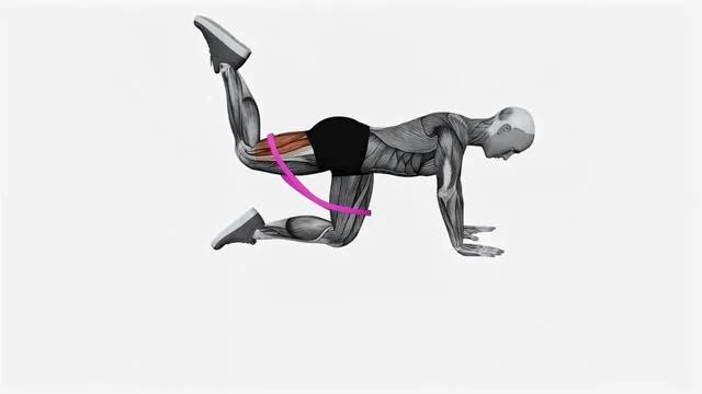Resistance Band Bent Leg Kickback (Kneeling) (2)
