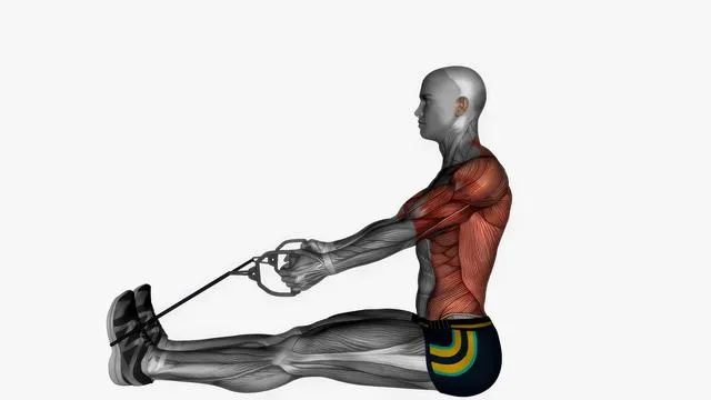 Resistance band - cable row (3)