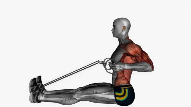 Resistance band - cable row (4)