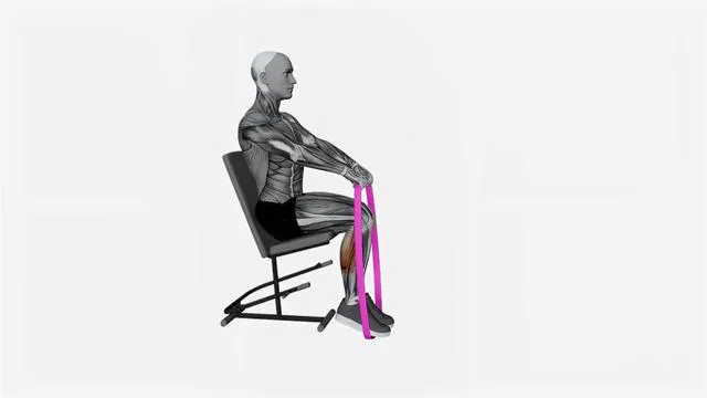 Resistance Band Calf Press Sitting on Chair (2)