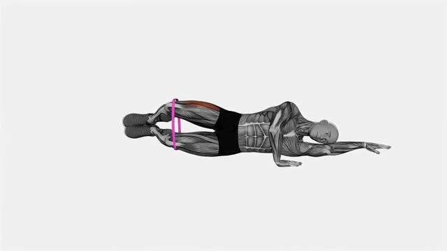 Resistance Band Clam (2)