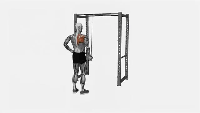 Resistance Band Cross Body Single Straight Arm Supinated Pulldown (2)