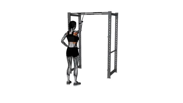 Resistance Band Cross Body Single Straight Arm Supinated Pulldown (3)