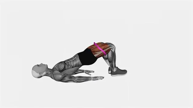 Resistance Band Glute Bridge (5)