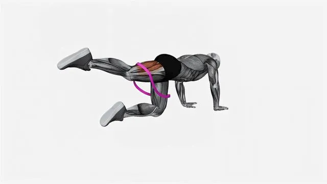 Resistance Band Kneeling Leg Half Circle (2)
