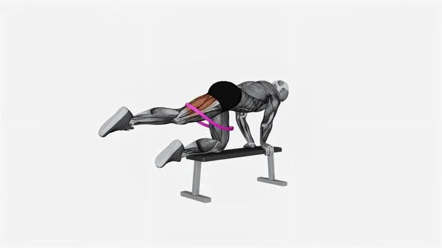 Resistance Band Kneeling Leg Half Circle (4)