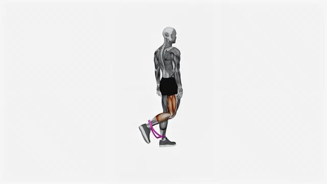Resistance Band Leg Curl (2)